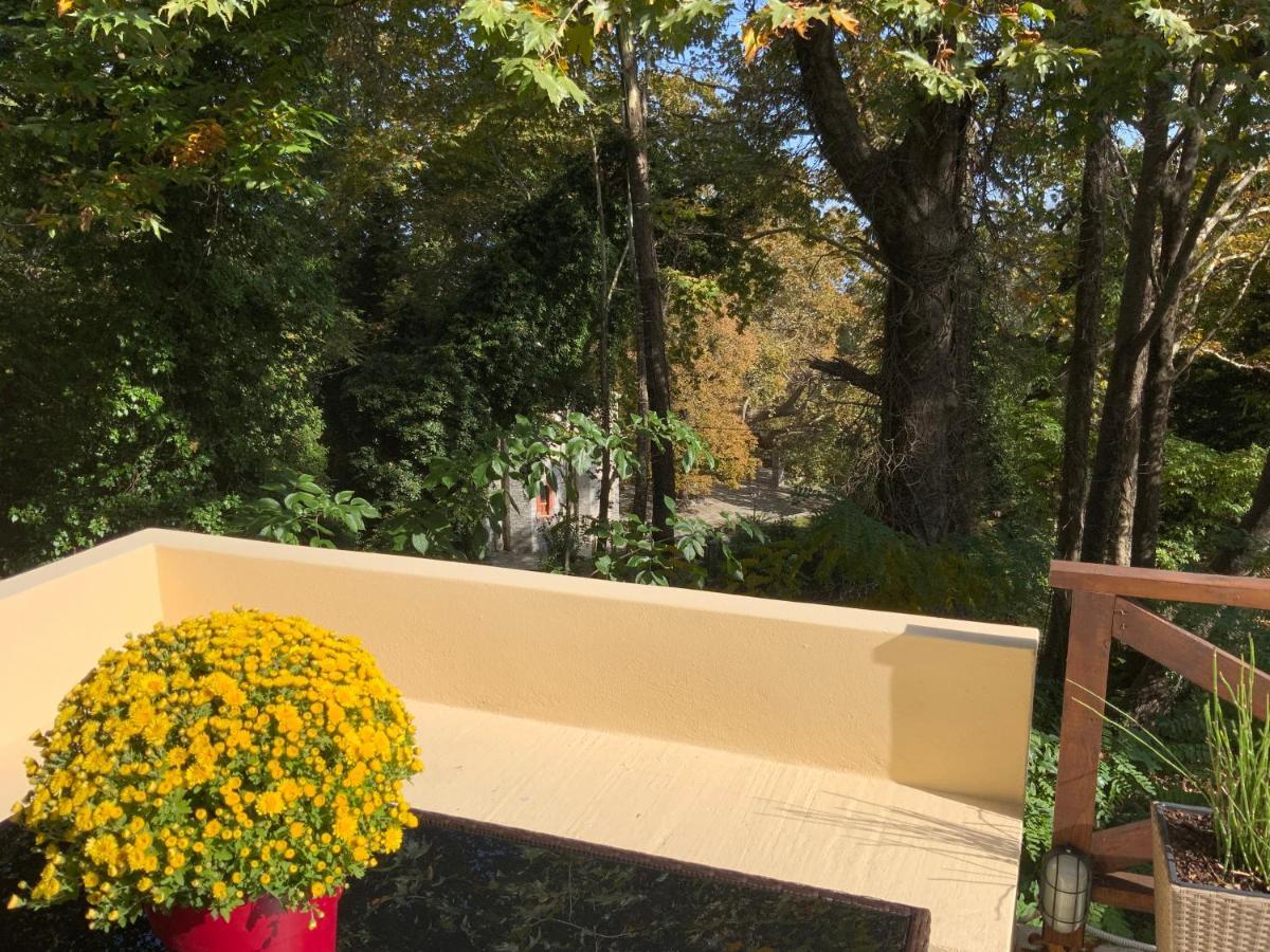 Pelion 7 Lives Villa Tsagarada Ngoại thất bức ảnh