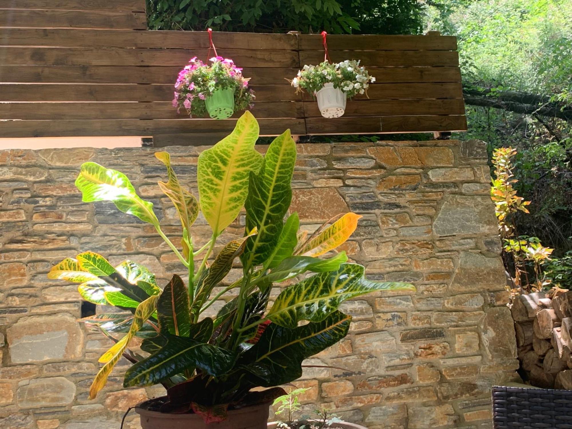 Pelion 7 Lives Villa Tsagarada Ngoại thất bức ảnh
